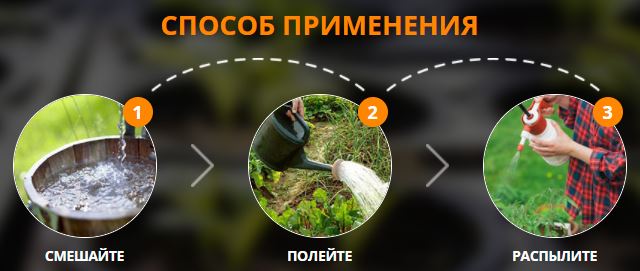 Купить биогард в Кемерово